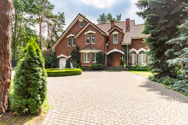 Best Local Driveway Pavers  in El Cerro Mission, NM