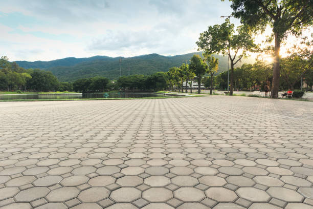 Best Best Driveway Pavers  in El Cerro Mission, NM