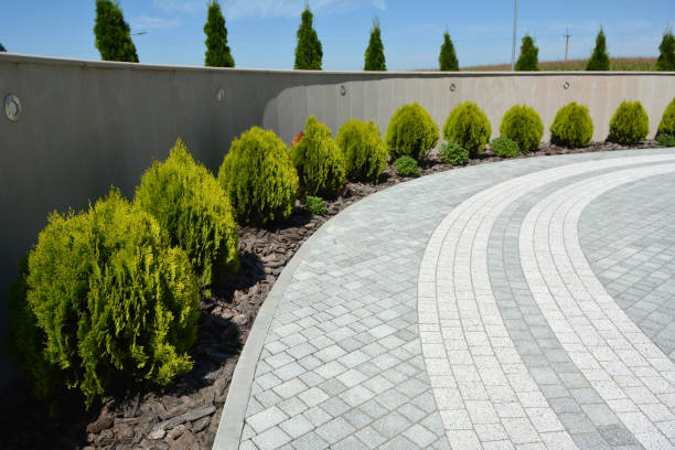 Best Brick Driveway Pavers  in El Cerro Mission, NM